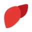 Liver
