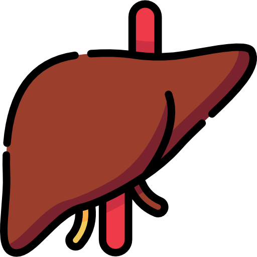 Liver Surgery