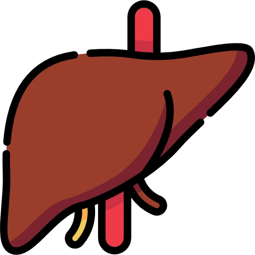Liver Surgery